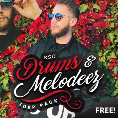 [FREE] SSO Drums & Melodeez Loop Pack 