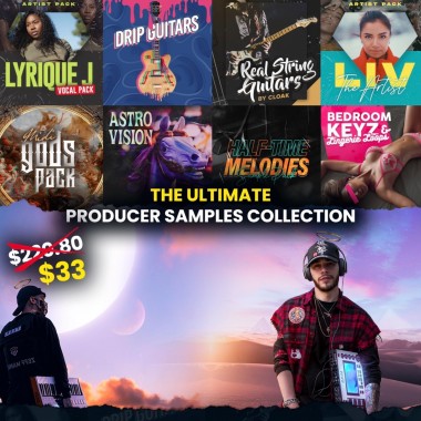 THE ULTIMATE PRODUCER SAMPLES COLLECTION BUNDLE [LIMITED] 