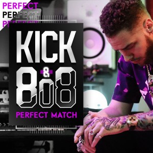 THE PERFECT MATCH [ KICK & 808 PACK ]